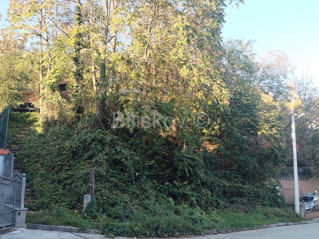 Image 6200478 - 4