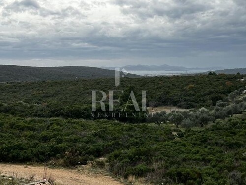 Thumbnail 6200516 - 9