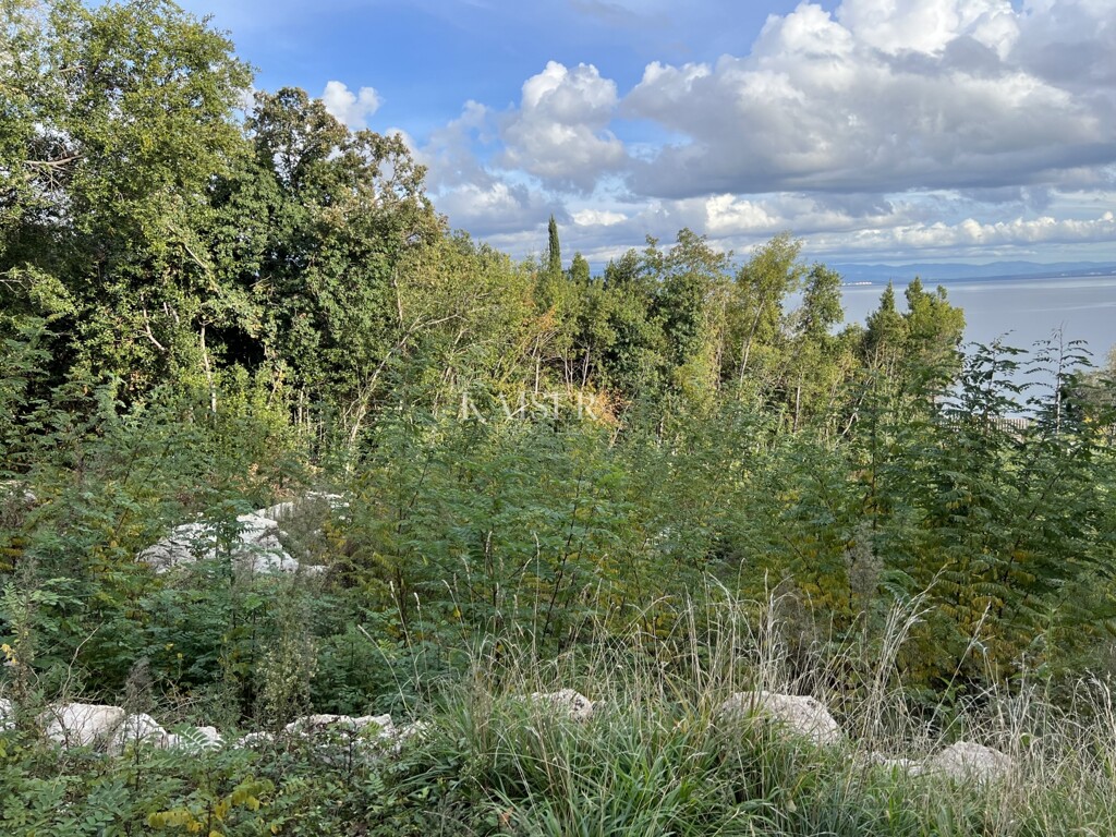 Image 6200580 - 9