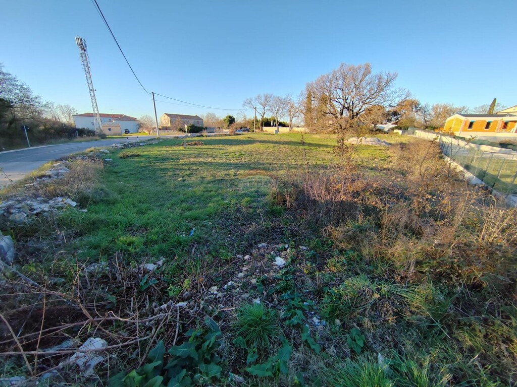 Image 6200619 - 3