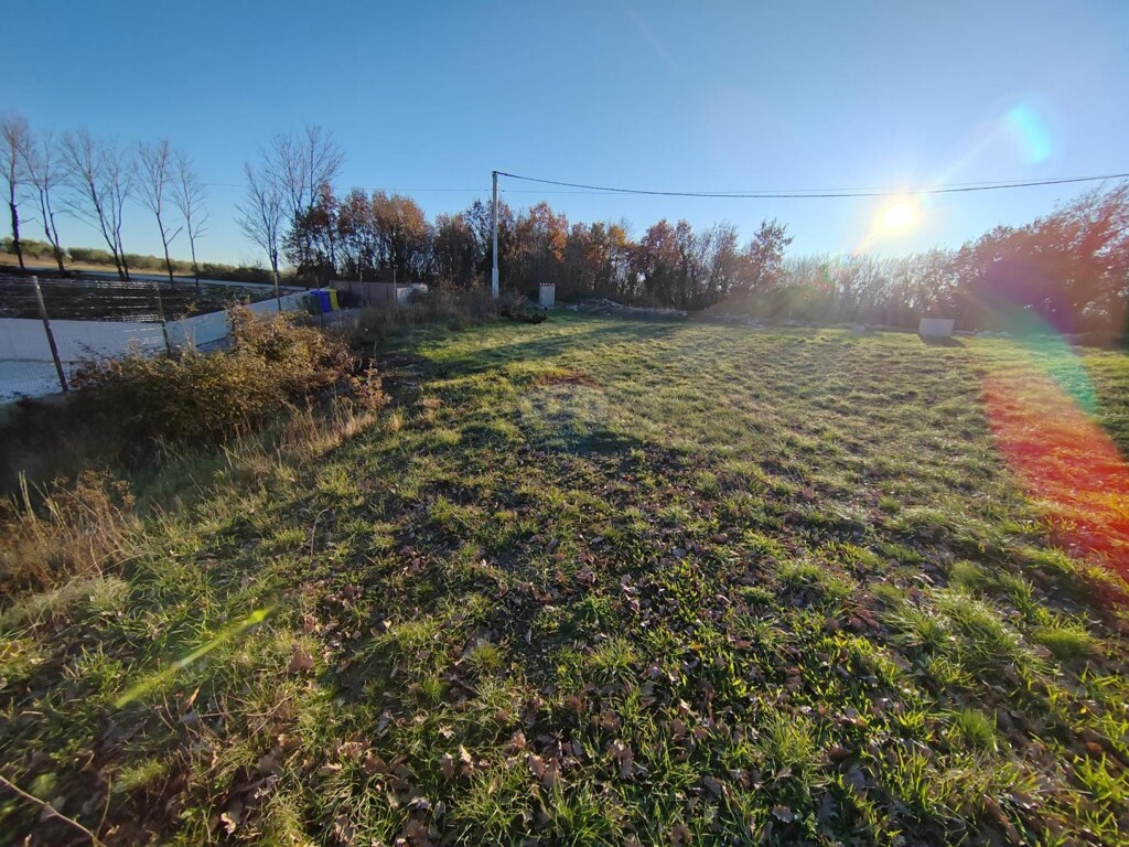 Image 6200619 - 4