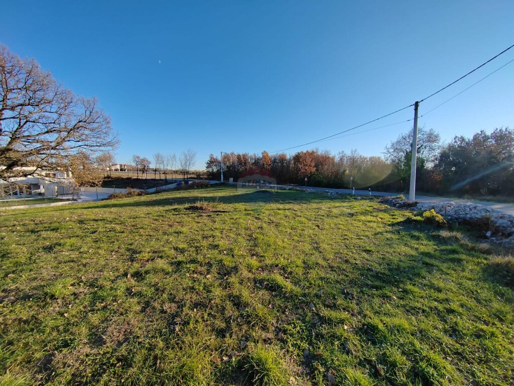 Image 6200619 - 1