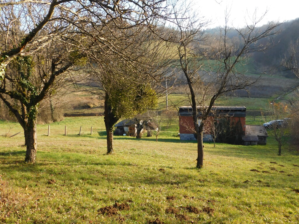 Image 6200873 - 14