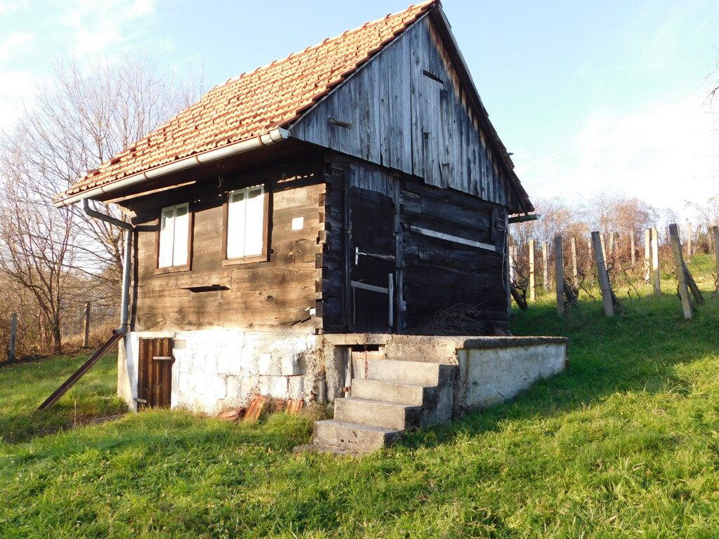 Image 6200873 - 3
