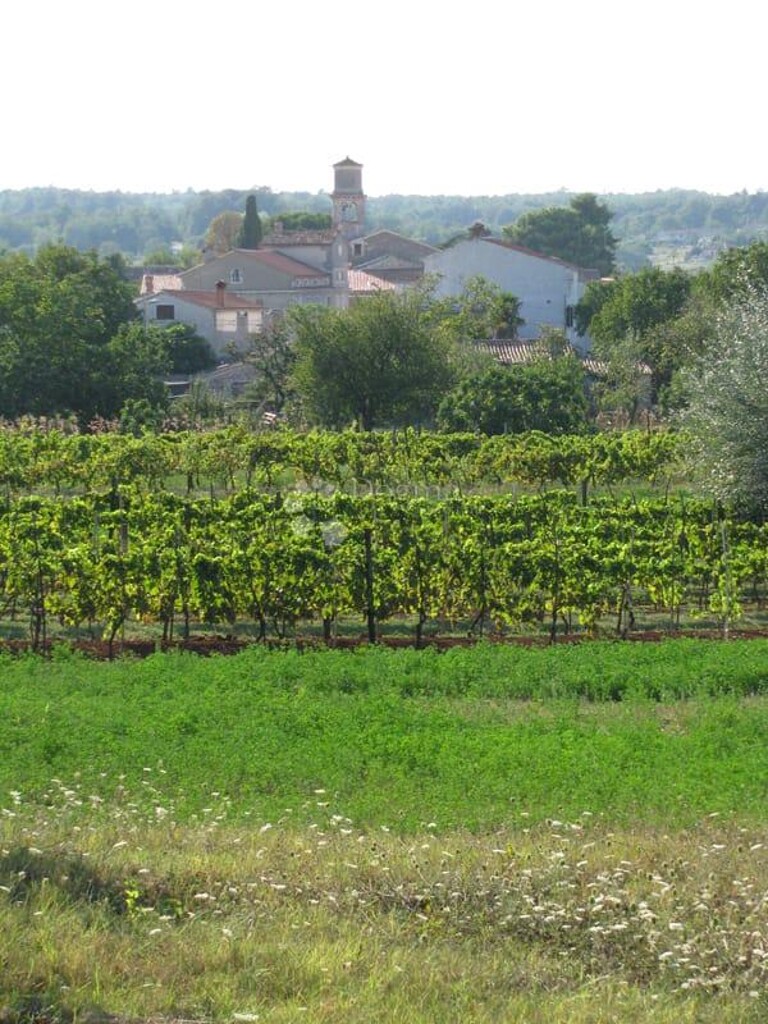 Image 6200967 - 2