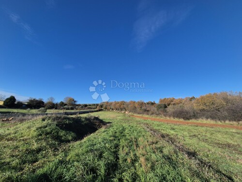 Thumbnail 6200969 - 3