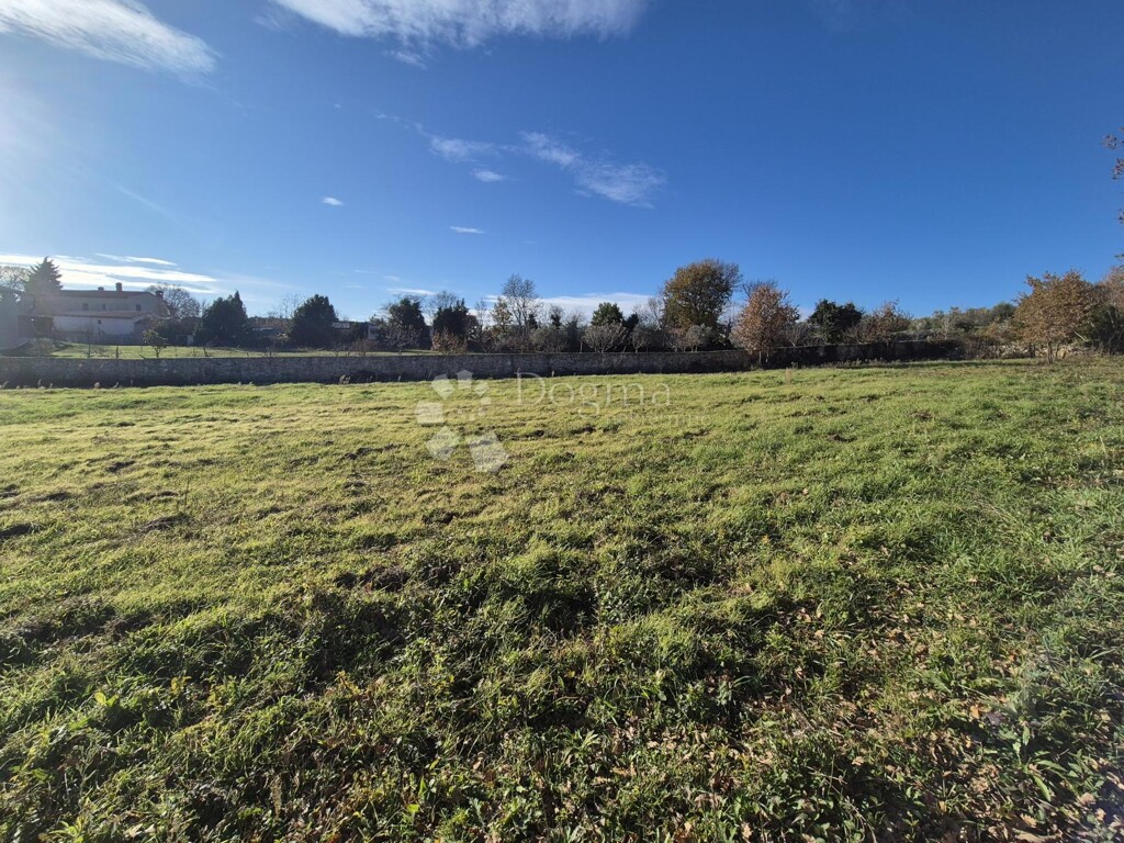Image 6200970 - 1