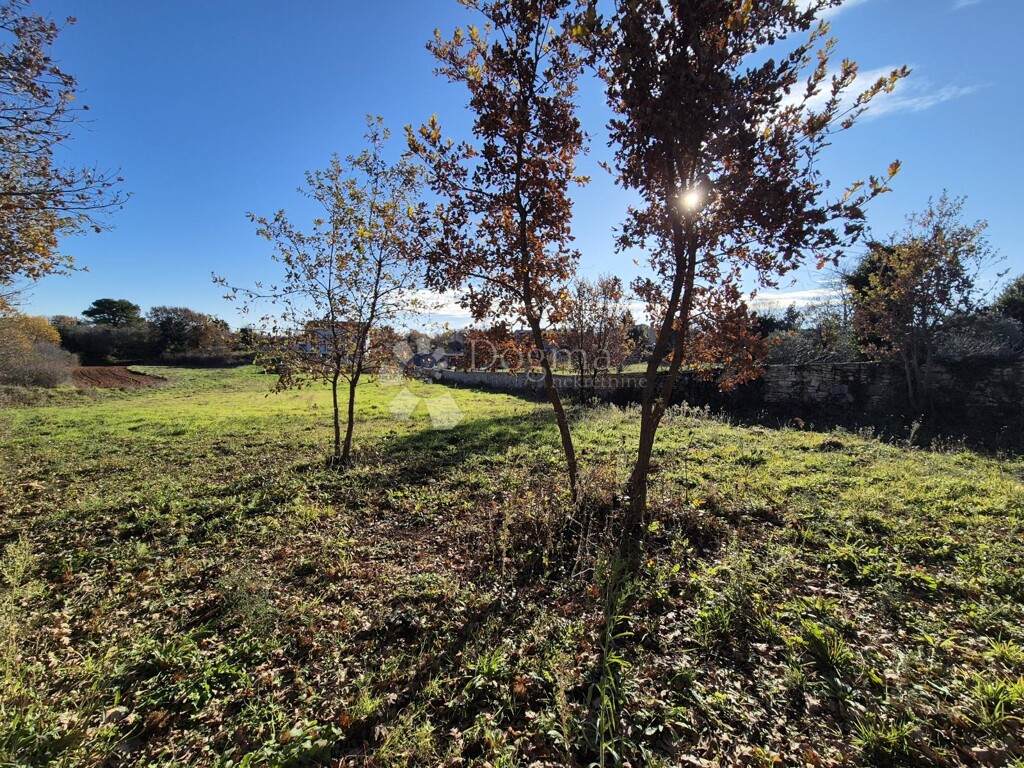 Image 6200970 - 3