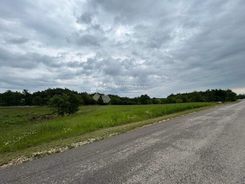 Thumbnail 6200981 - 4