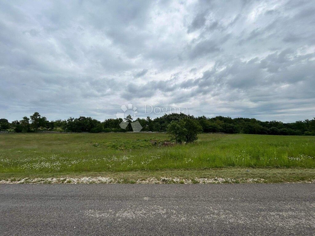 Image 6200981 - 2