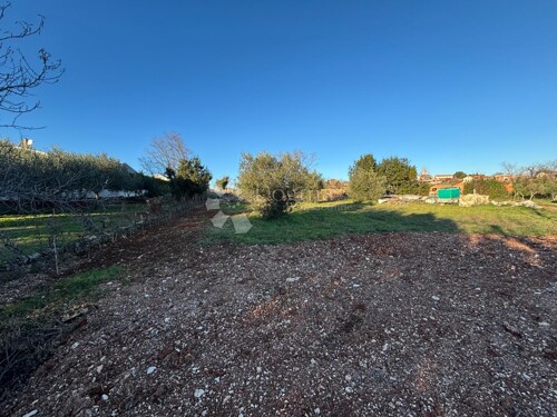 Thumbnail 6200990 - 22