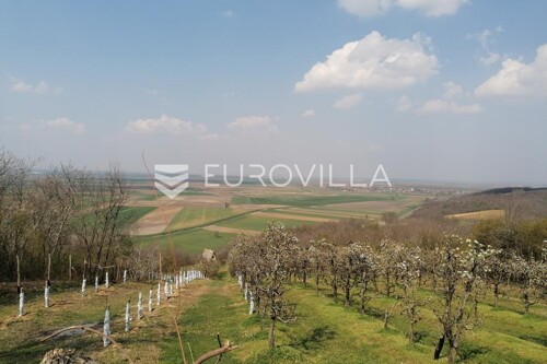 Thumbnail 6201308 - 10