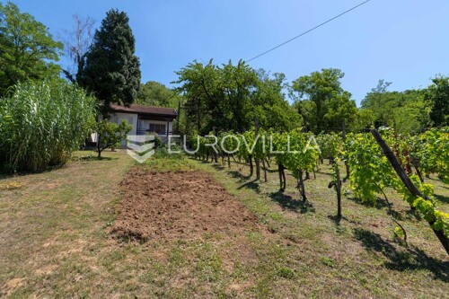 Thumbnail 6201308 - 7