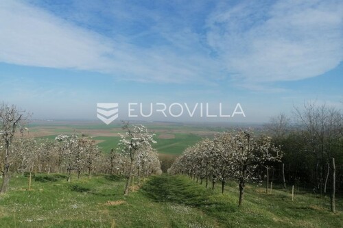 Thumbnail 6201308 - 12