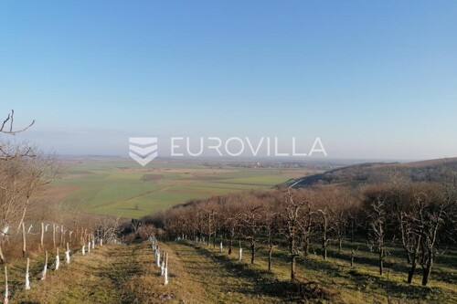 Thumbnail 6201308 - 11