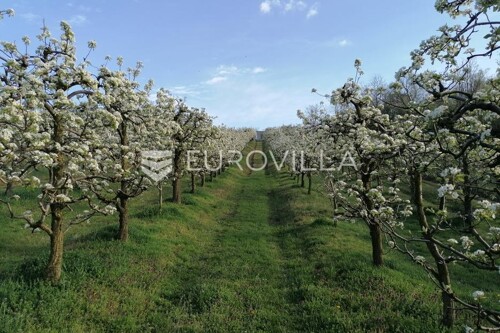 Thumbnail 6201308 - 13