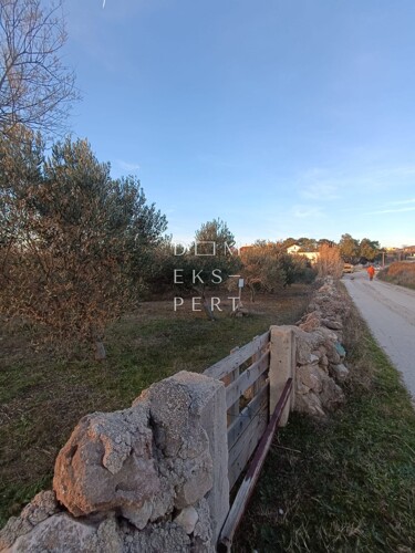 Thumbnail 6201322 - 5