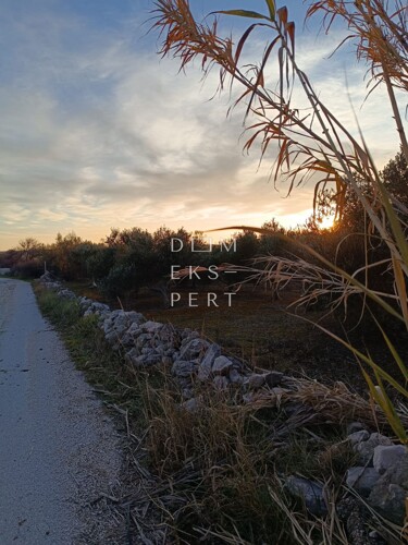Thumbnail 6201322 - 6