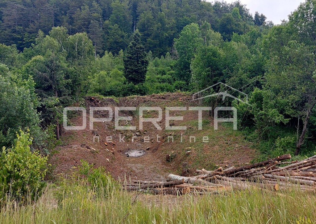 Image 6201476 - 3