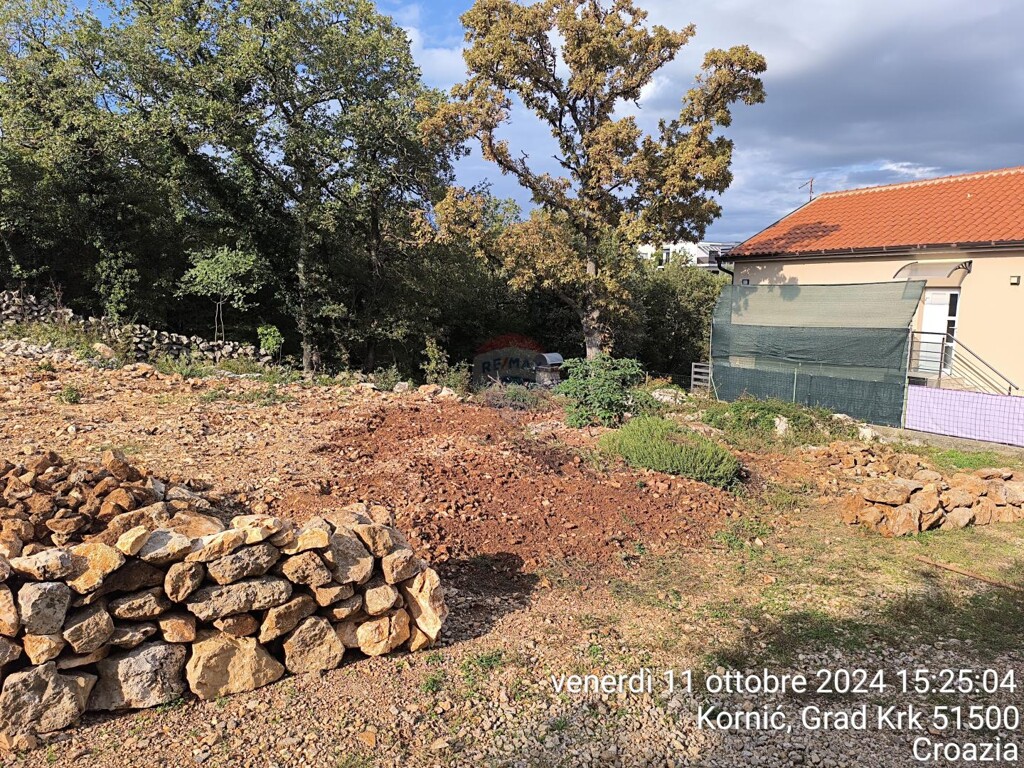 Image 6201518 - 1