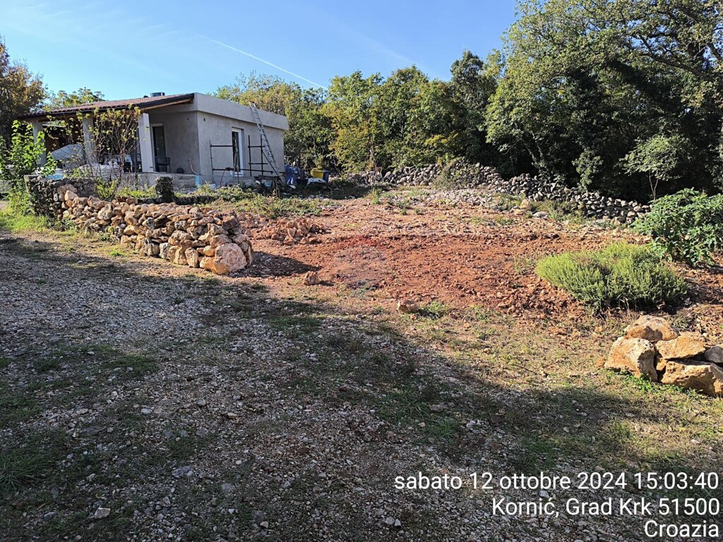 Image 6201518 - 3
