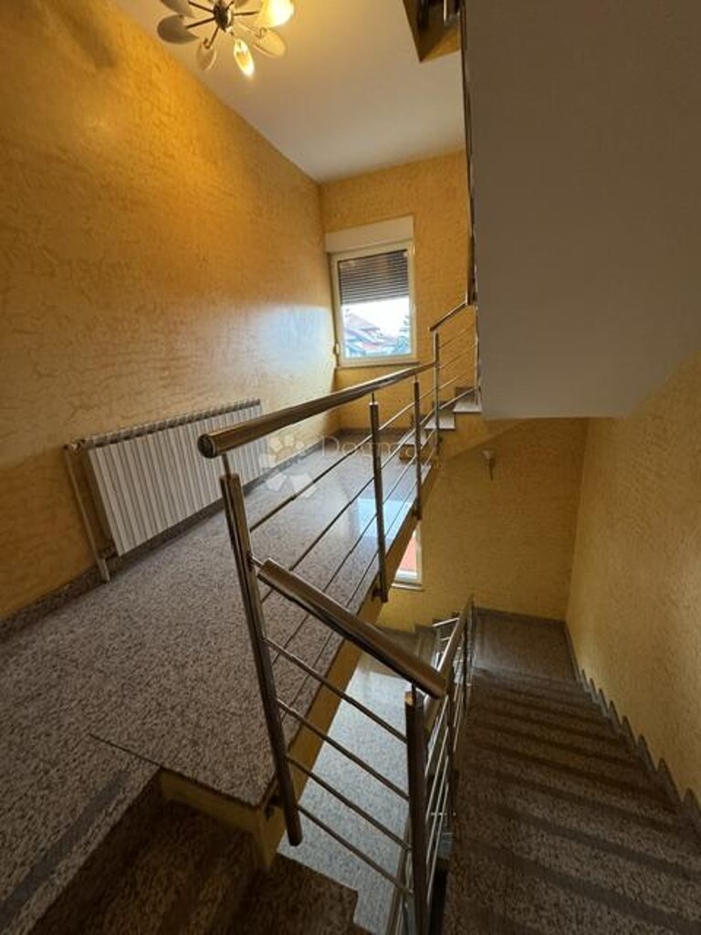 Image 6201811 - 4
