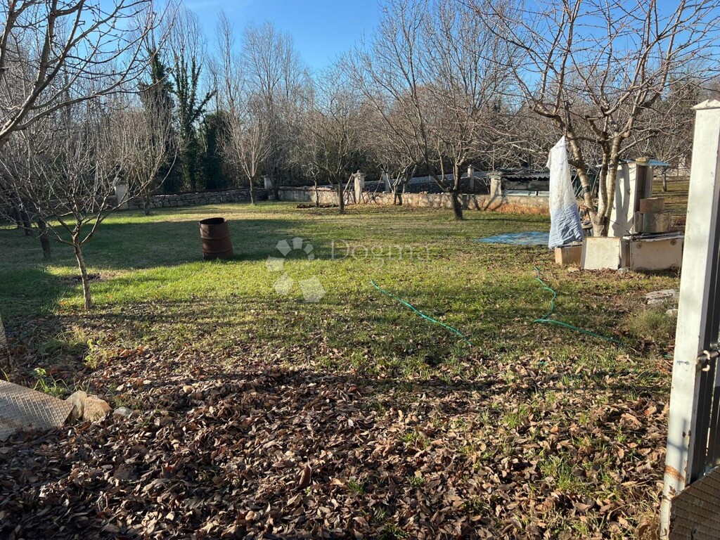 Image 6201820 - 3