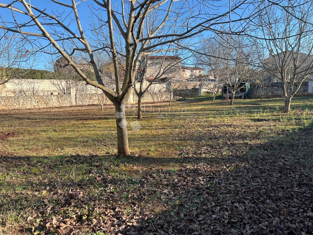 Image 6201820 - 11
