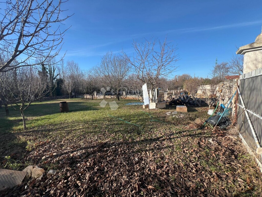 Image 6201820 - 5