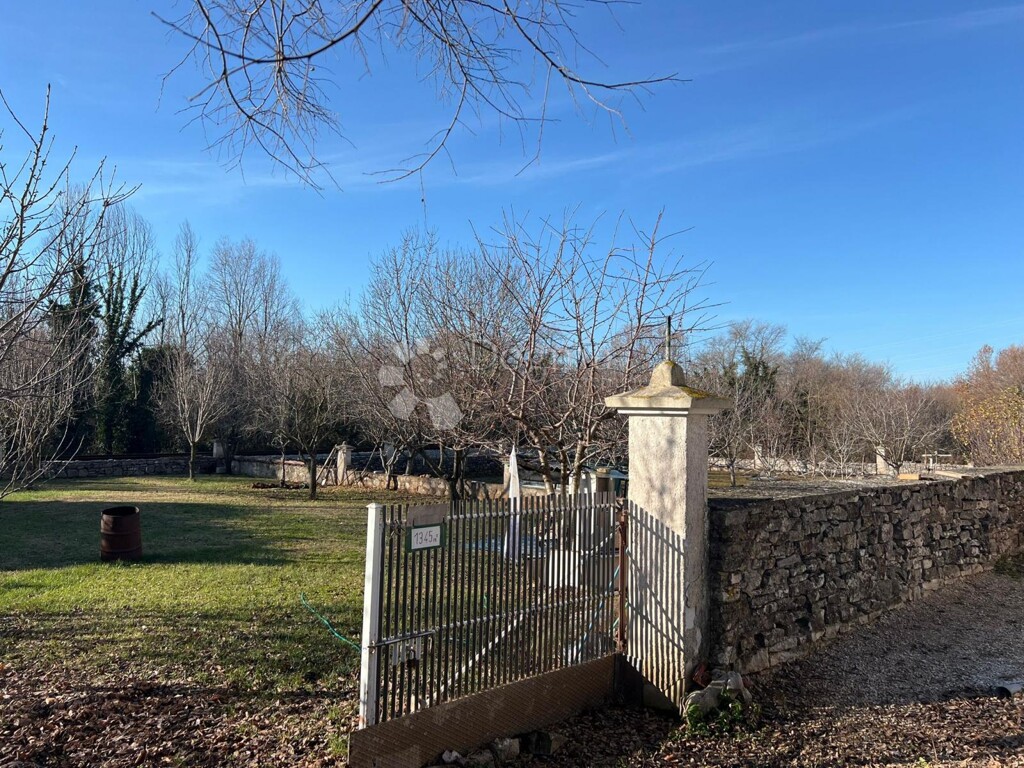 Image 6201820 - 1