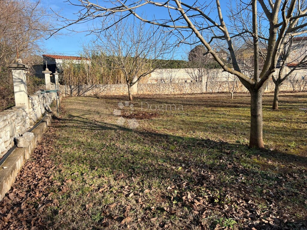 Image 6201820 - 13
