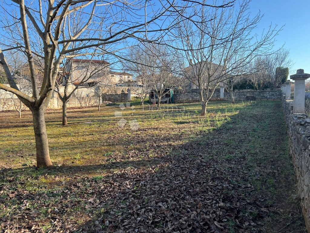 Image 6201820 - 10