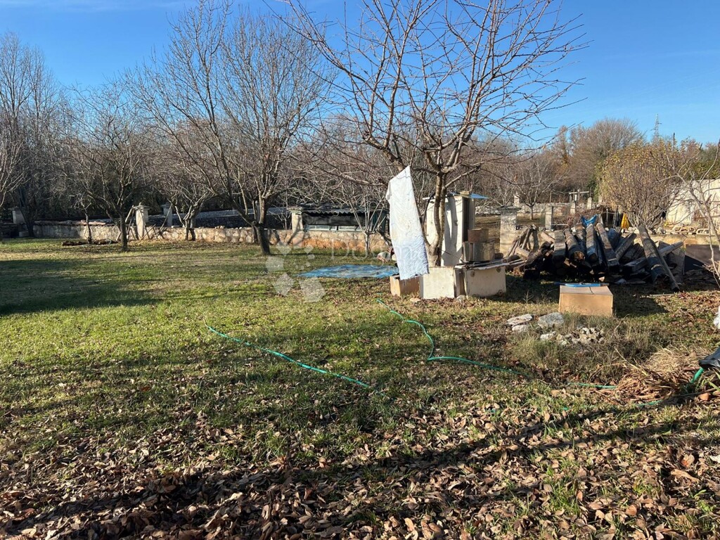 Image 6201820 - 4