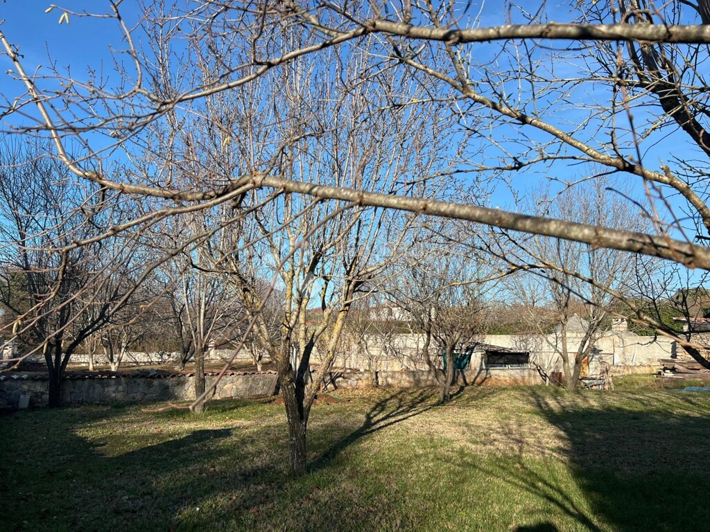 Image 6201820 - 9