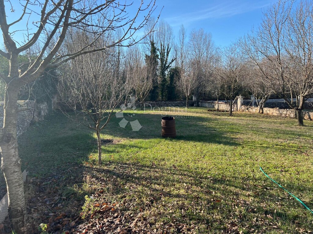 Image 6201820 - 6