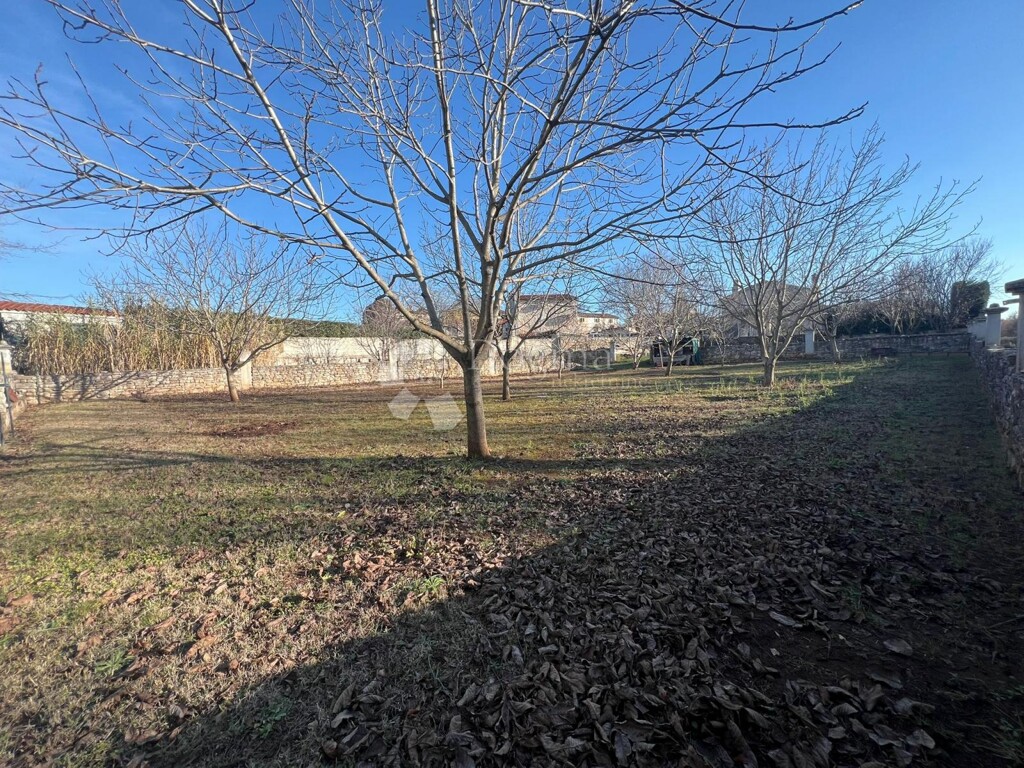 Image 6201820 - 12