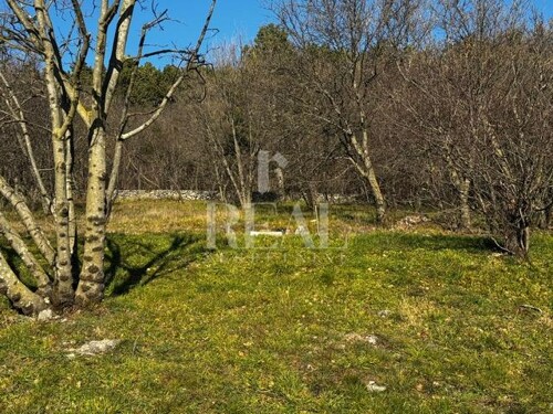 Thumbnail 6201887 - 5