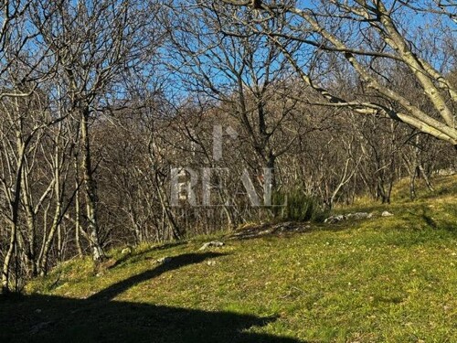 Thumbnail 6201887 - 6