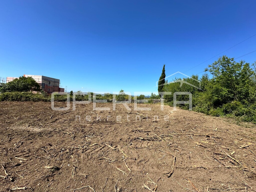 Image 6201942 - 4