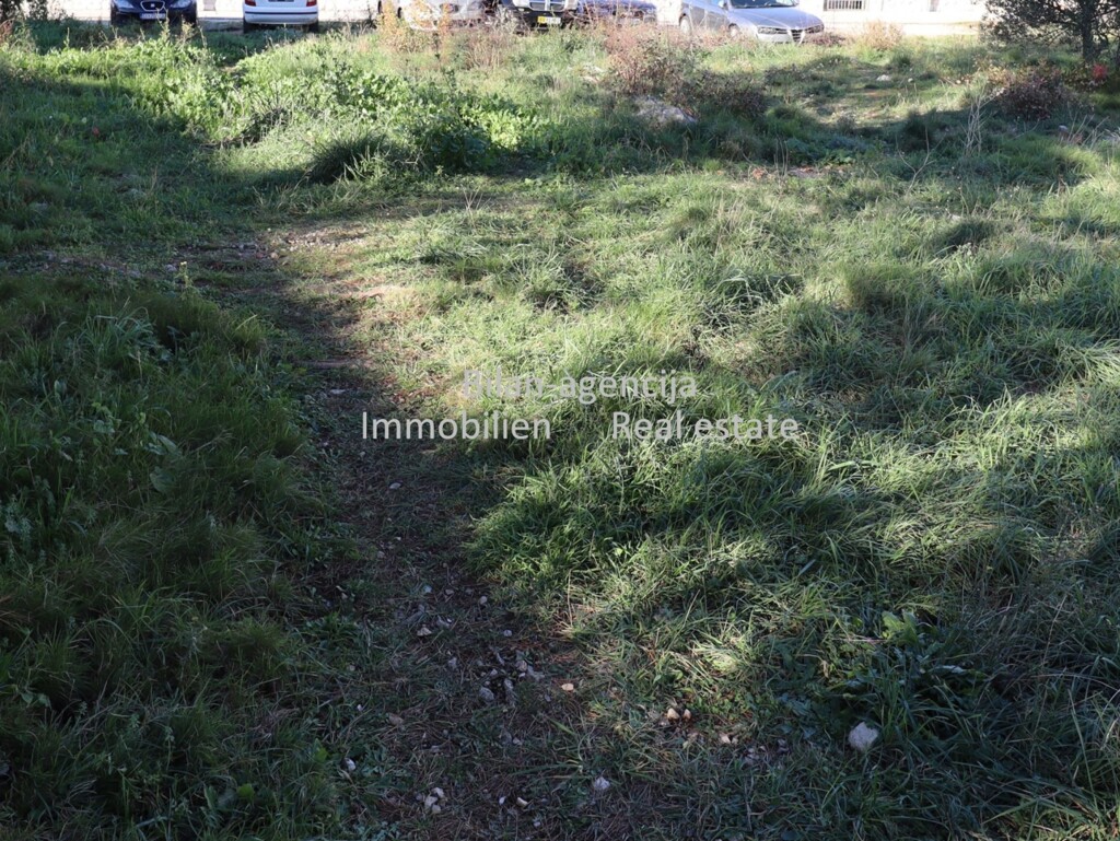 Image 6202366 - 4
