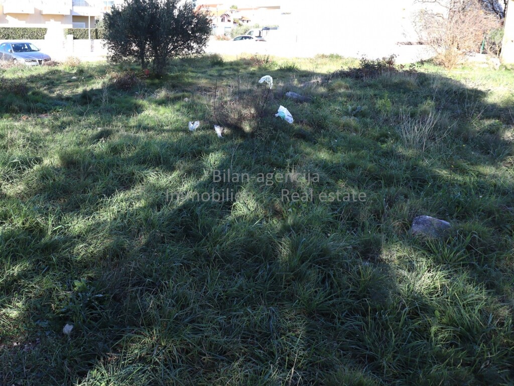 Image 6202366 - 1