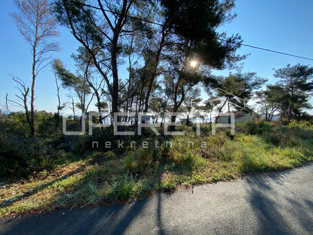 Image 6202429 - 10
