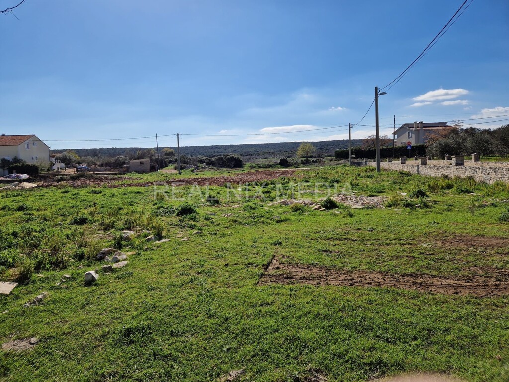Image 6202435 - 1