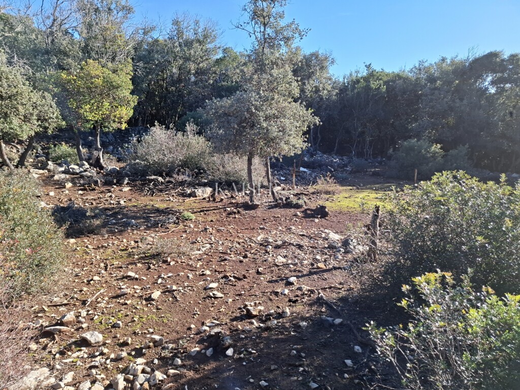 Image 6202444 - 1