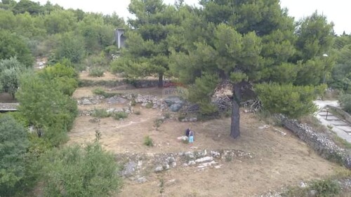Thumbnail 6202502 - 11