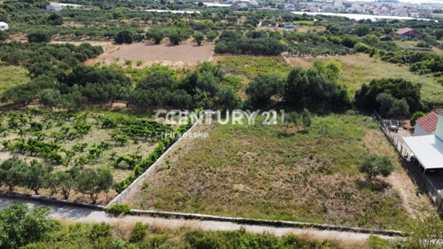 Thumbnail 6202509 - 4