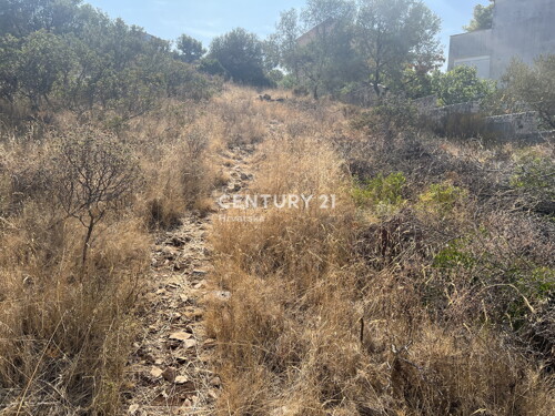 Thumbnail 6202523 - 3