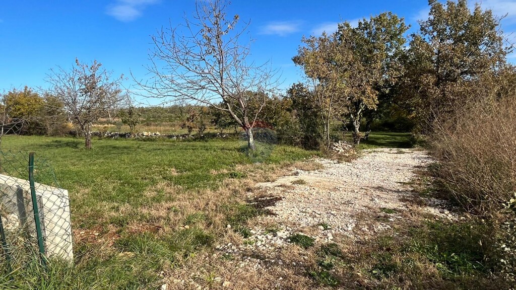 Image 6202527 - 1