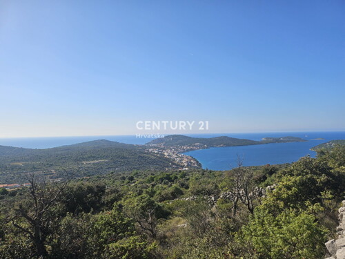 Thumbnail 6202546 - 5