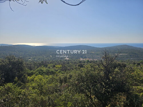 Thumbnail 6202546 - 6